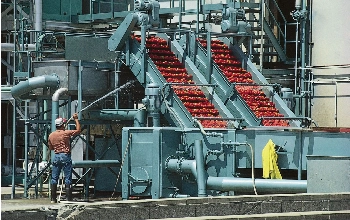Dehydration, Freezing, & Canning Industries
